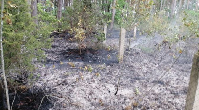 🔥 В Дрогичинском районе произошло возгорание