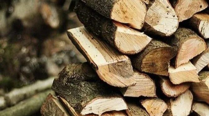 ТЕПЛО В КАЖДЫЙ ДОМ — ДРОВА ОТ ДРОГИЧИНСКОГО ЛЕСХОЗА