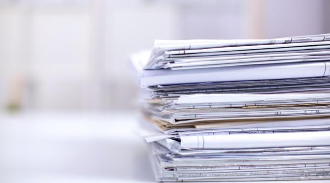 В Беларуси уточнили подходы к вырубке сильно ослабленных деревьев ели