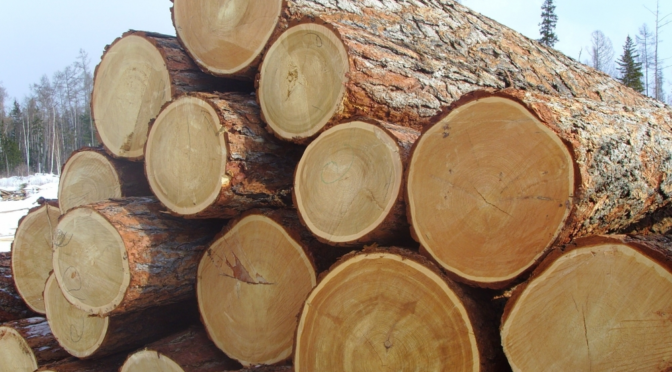 Александр Кулик: в цехах лесхозов Брестской области нужно создавать полный цикл переработки древесины