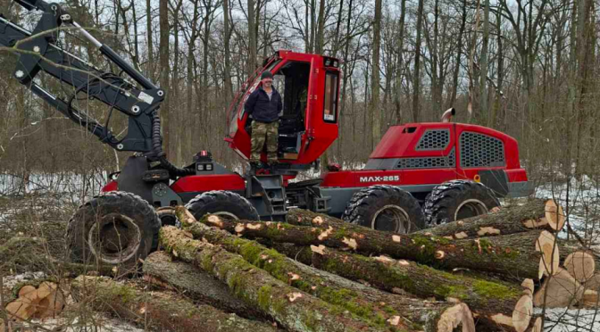 ЗИМА – ВРЕМЯ АКТИВНОЙ РАБОТЫ В ЛЕСУ!